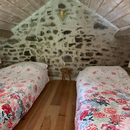 Petite Maison Conjat Saint-Julien-le-Petit Dış mekan fotoğraf